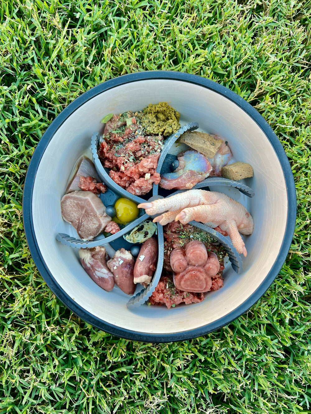 Understanding The Raw Meat Diet