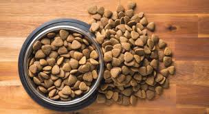 The Truth About Kibble