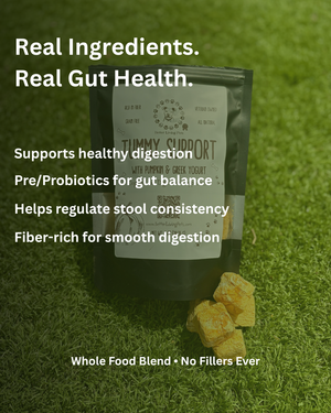 Product packaging with text on a grass background, emphasizing gut health benefits.
