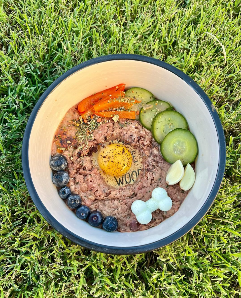 Better Living Pets on Instagram